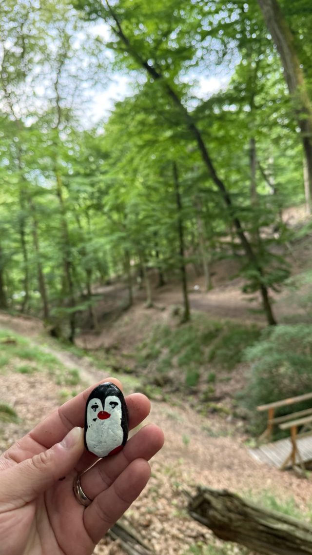 Hand-painted penguin stone #1264 hidden at Zelezna Studnicka Nature Trail, Bratislava, Slovakia (photo 2 of 4)