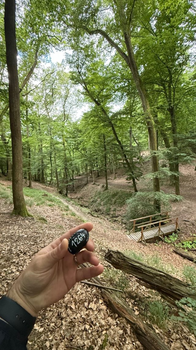 Hand-painted penguin stone #1264 hidden at Zelezna Studnicka Nature Trail, Bratislava, Slovakia (photo 3 of 4)