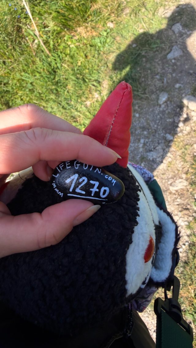 Hand-painted penguin stone #1270 hidden at Rocks below Himmelspfortenhutte, Schafberg, Austria (photo 2 of 5)