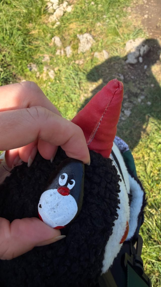 Hand-painted penguin stone #1270 hidden at Rocks below Himmelspfortenhutte, Schafberg, Austria (photo 3 of 5)