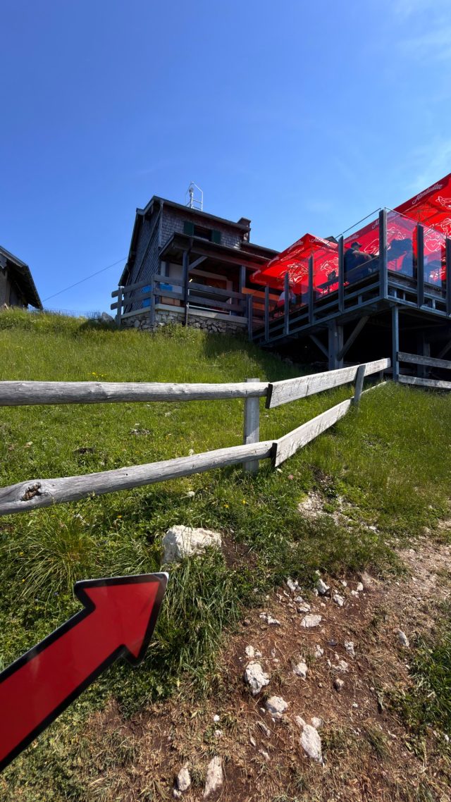 Hand-painted penguin stone #1270 hidden at Rocks below Himmelspfortenhutte, Schafberg, Austria (photo 4 of 5)