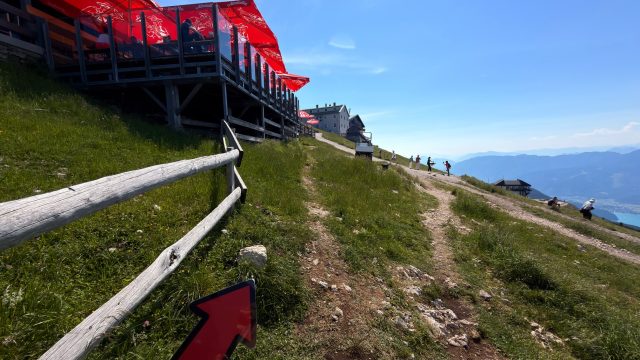 Hand-painted penguin stone #1270 hidden at Rocks below Himmelspfortenhutte, Schafberg, Austria (photo 5 of 5)