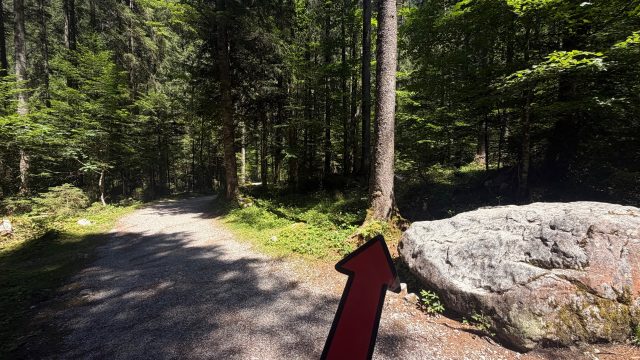 Hand-painted penguin stone #1272 hidden at Tree Trunk, Vorderer Gosausee, Austria (photo 2 of 5)