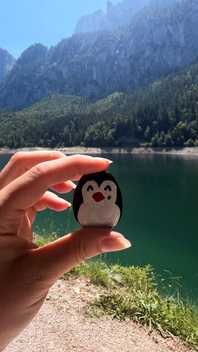 Hand-painted penguin stone #1272 hidden at Tree Trunk, Vorderer Gosausee, Austria (photo 3 of 5)