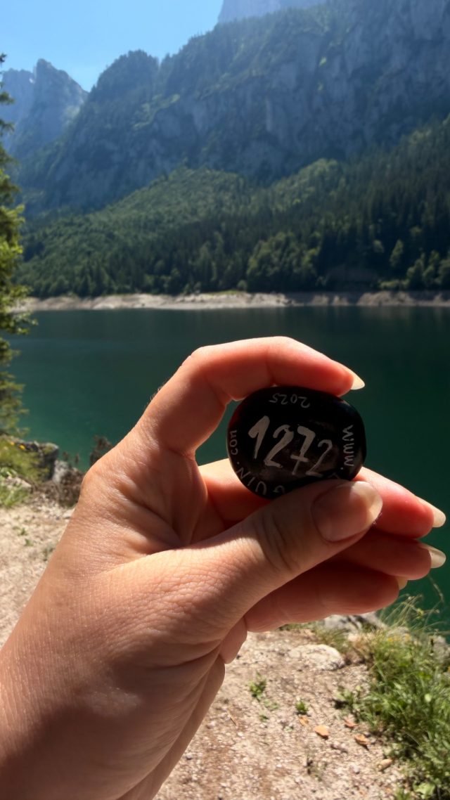 Hand-painted penguin stone #1272 hidden at Tree Trunk, Vorderer Gosausee, Austria (photo 4 of 5)