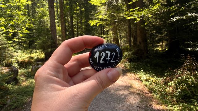 Hand-painted penguin stone #1272 hidden at Tree Trunk, Vorderer Gosausee, Austria (photo 5 of 5)