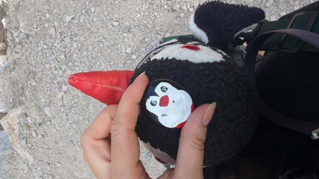 Hand-painted penguin stone #1276 hidden at Small Lake, Ramsau am Dachstein, Austria (photo 2 of 5)