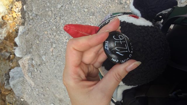 Hand-painted penguin stone #1276 hidden at Small Lake, Ramsau am Dachstein, Austria (photo 3 of 5)