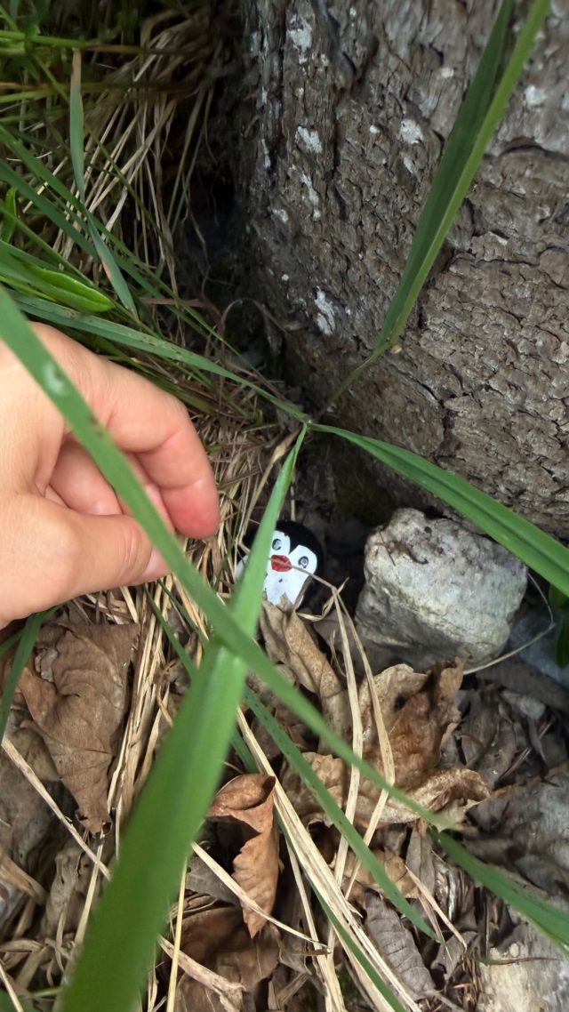 Hand-painted penguin stone #1276 hidden at Small Lake, Ramsau am Dachstein, Austria (photo 4 of 5)