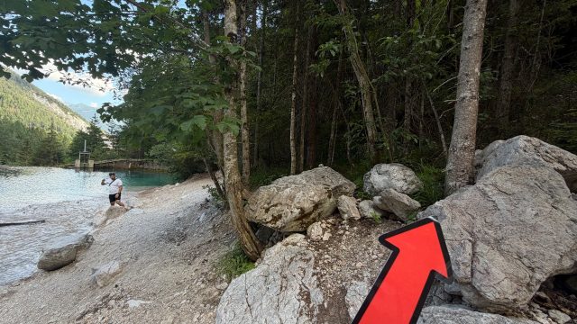 Hand-painted penguin stone #1276 hidden at Small Lake, Ramsau am Dachstein, Austria (photo 5 of 5)