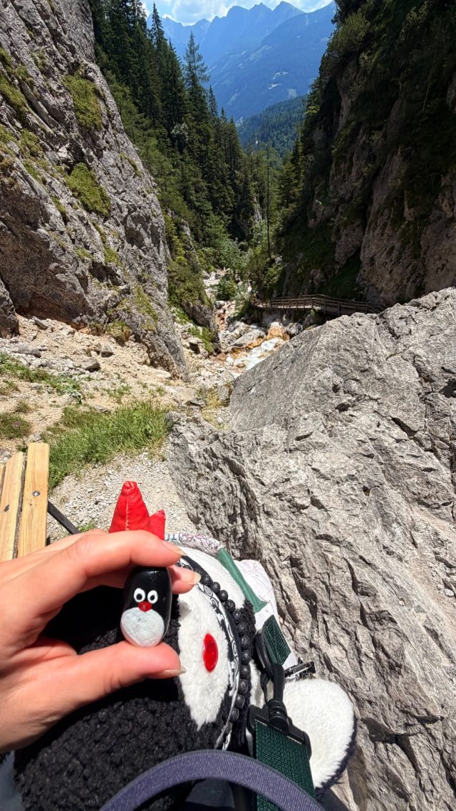 Hand-painted penguin stone #1286 hidden at Viewpoint in Silberkarklamm, Silberkarklamm, Austria (photo 3 of 5)