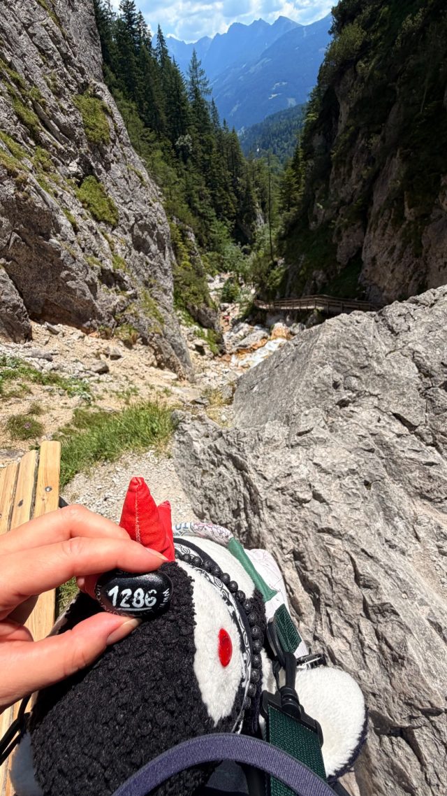 Hand-painted penguin stone #1286 hidden at Viewpoint in Silberkarklamm, Silberkarklamm, Austria (photo 4 of 5)