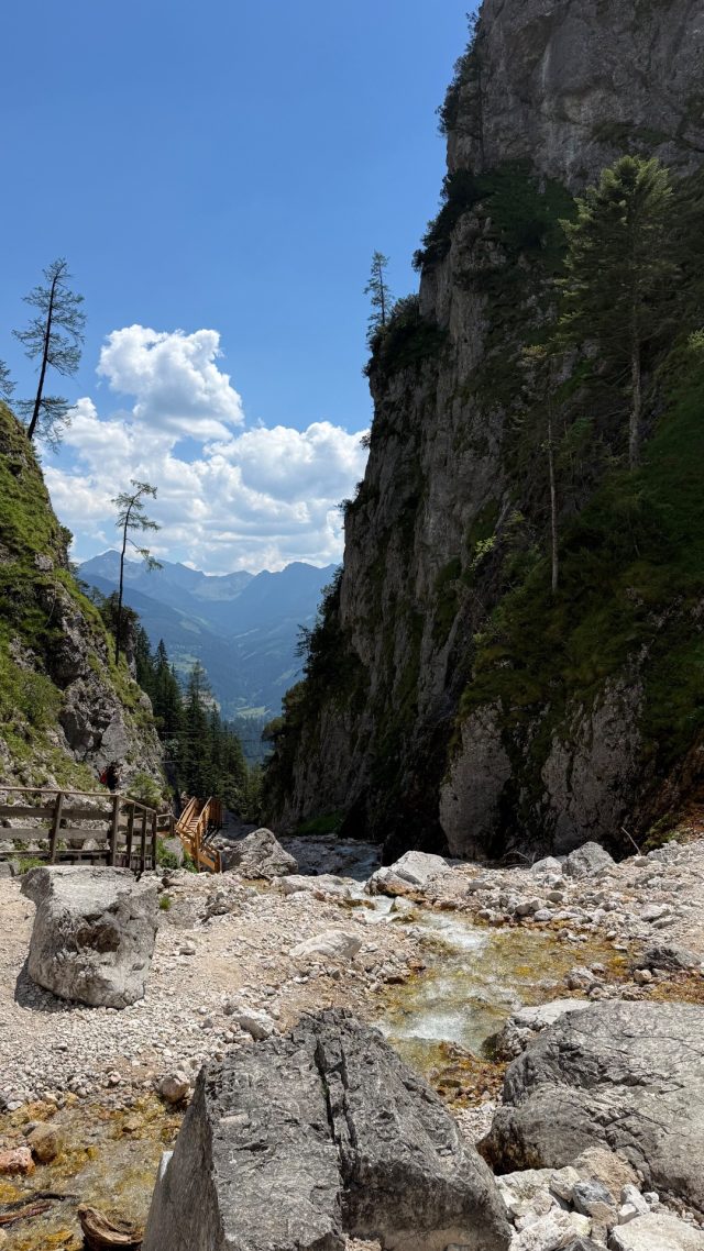 Hand-painted penguin stone #1286 hidden at Viewpoint in Silberkarklamm, Silberkarklamm, Austria (photo 5 of 5)