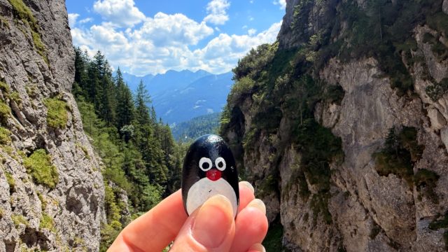 Hand-painted penguin stone #1286 hidden at Viewpoint in Silberkarklamm, Silberkarklamm, Austria