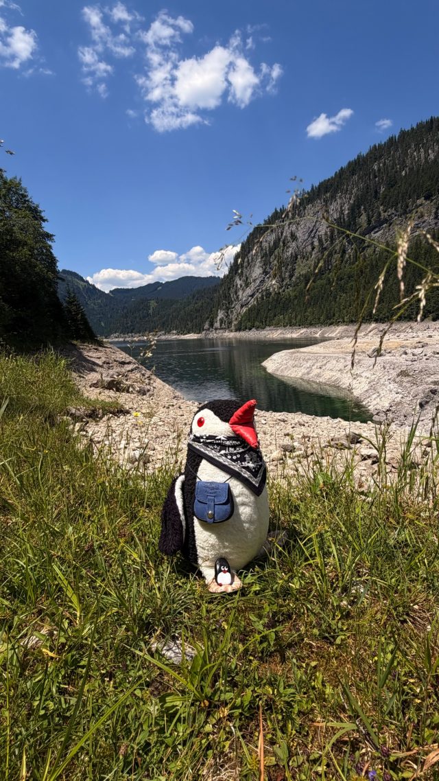 Hand-painted penguin stone #1293 hidden at Stone, Vorderer Gosausee, Austria (photo 2 of 5)