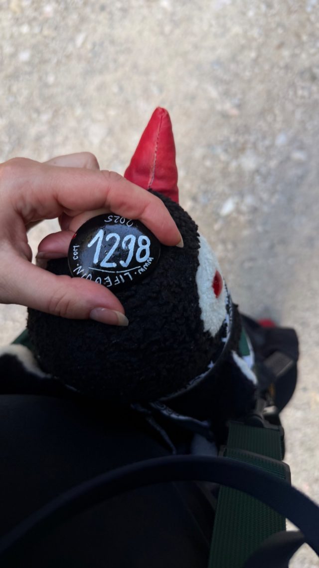 Hand-painted penguin stone #1298 hidden at Marchenweg, Ramsau am Dachstein, Austria (photo 5 of 5)