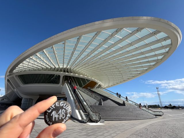 Hand-painted penguin stone #1418 hidden at Mons Train station, Mons, Belgium (photo 2 of 5)