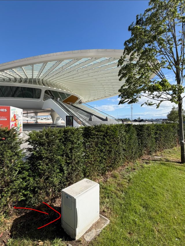 Hand-painted penguin stone #1418 hidden at Mons Train station, Mons, Belgium (photo 4 of 5)