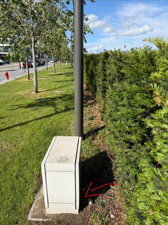 Hand-painted penguin stone #1418 hidden at Mons Train station, Mons, Belgium (photo 5 of 5)