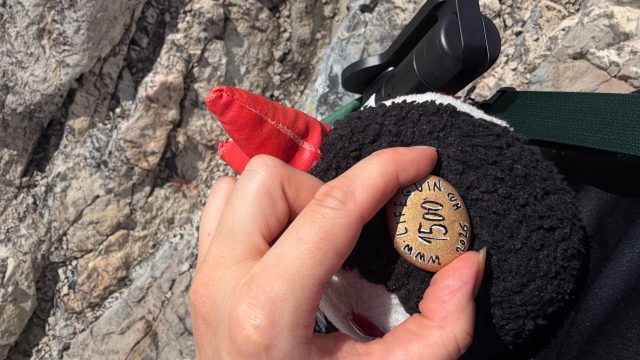 Hand-painted penguin stone #1500 hidden at Glacier Lake, Obertraun, Austria (photo 2 of 5)