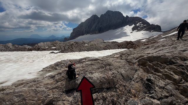 Hand-painted penguin stone #1500 hidden at Glacier Lake, Obertraun, Austria (photo 4 of 5)