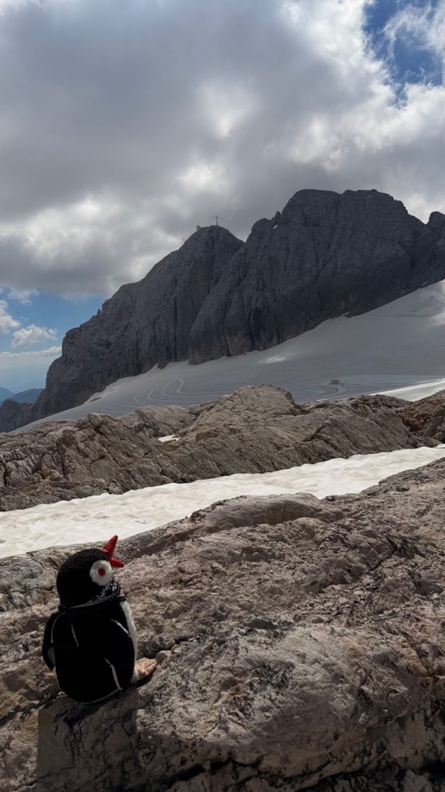 Hand-painted penguin stone #1500 hidden at Glacier Lake, Obertraun, Austria (photo 5 of 5)