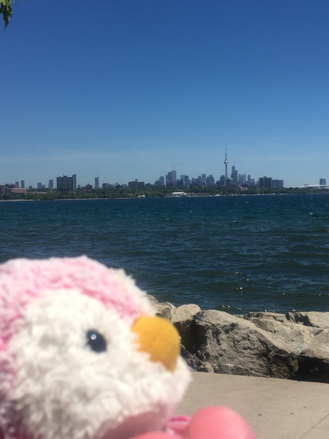 Hand-painted penguin stone #408 hidden at Sheldon's Lookout, Humber Bay Shores East, Toronto, Canada (photo 3 of 4)