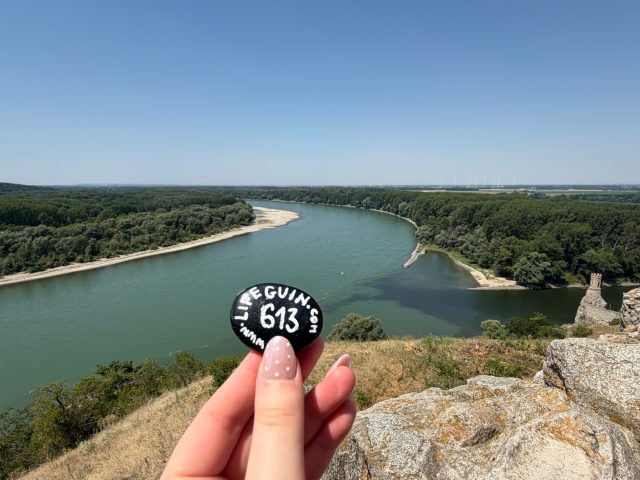 Hand-painted penguin stone #613 hidden at Devin castle, Bratislava, Slovakia (photo 2 of 4)