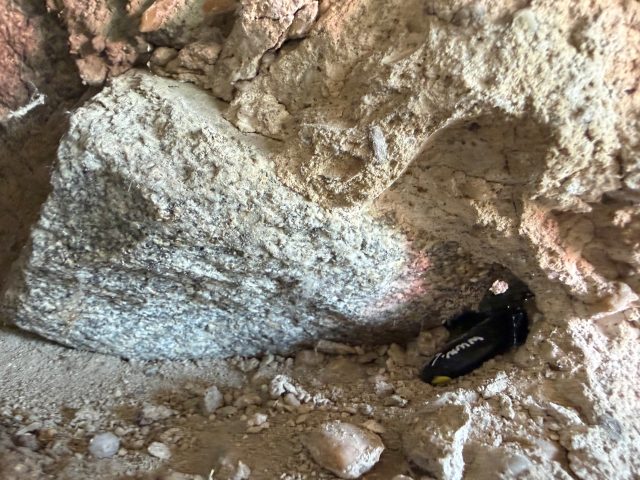 Hand-painted penguin stone #613 hidden at Devin castle, Bratislava, Slovakia (photo 3 of 4)