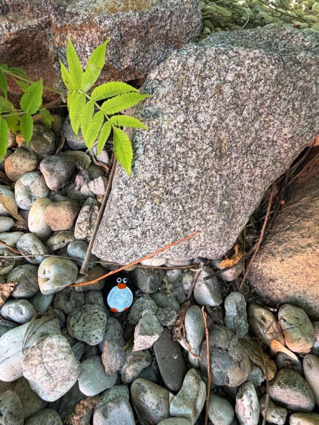 Hand-painted penguin stone #645 hidden at Danubiana Art Museum, Hamuliakovo, Slovakia (photo 3 of 5)