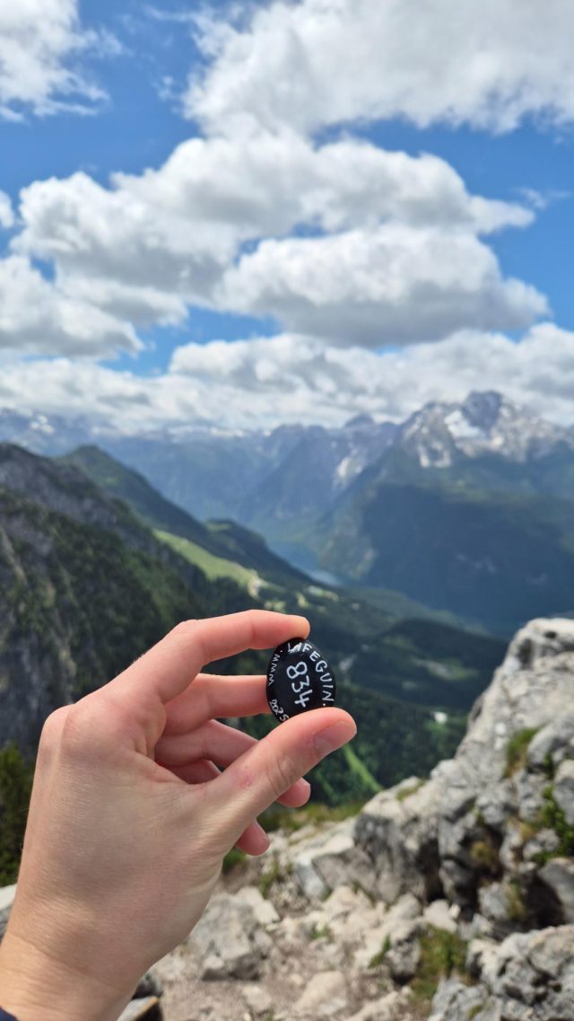 Hand-painted penguin stone #834 hidden at Kehlsteinhaus (Eagle's nest), Berchtesgaden, Germany (photo 3 of 5)