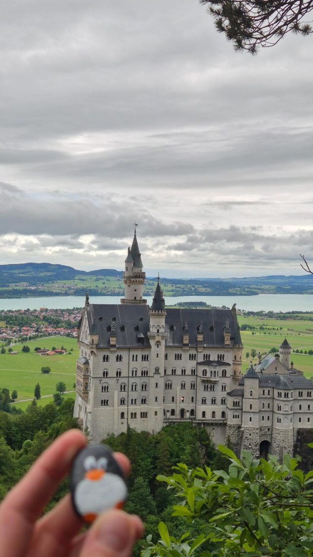Hand-painted penguin stone #837 hidden at Neuschwanstein Castle (above the Marienbrucke), Schwangau, Germany (photo 4 of 5)