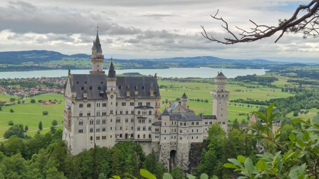 Hand-painted penguin stone #837 hidden at Neuschwanstein Castle (above the Marienbrucke), Schwangau, Germany (photo 5 of 5)