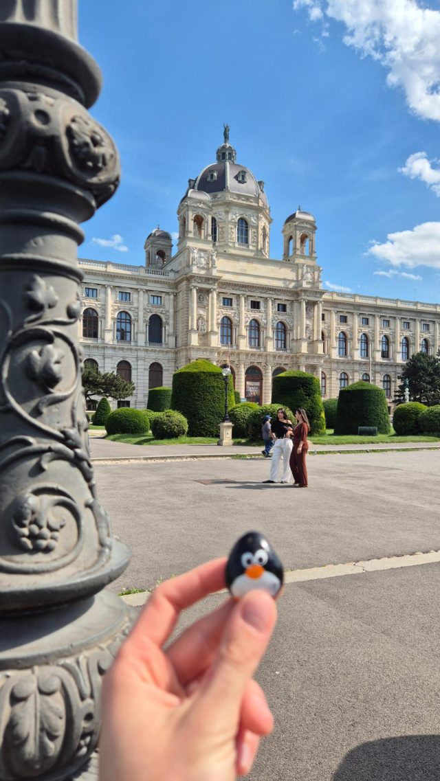 Hand-painted penguin stone #848 hidden at Museumquarter, Vienna, Austria (photo 2 of 4)