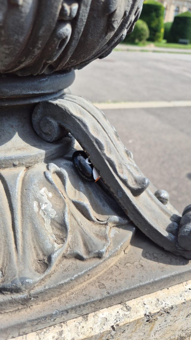 Hand-painted penguin stone #848 hidden at Museumquarter, Vienna, Austria (photo 3 of 4)