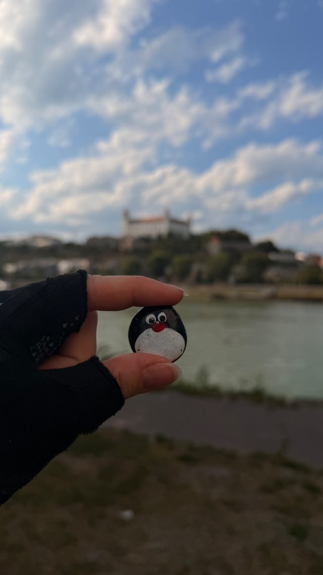 Hand-painted penguin stone #1201 hidden at UFO Bridge, Bratislava, Slovakia (photo 2 of 5)