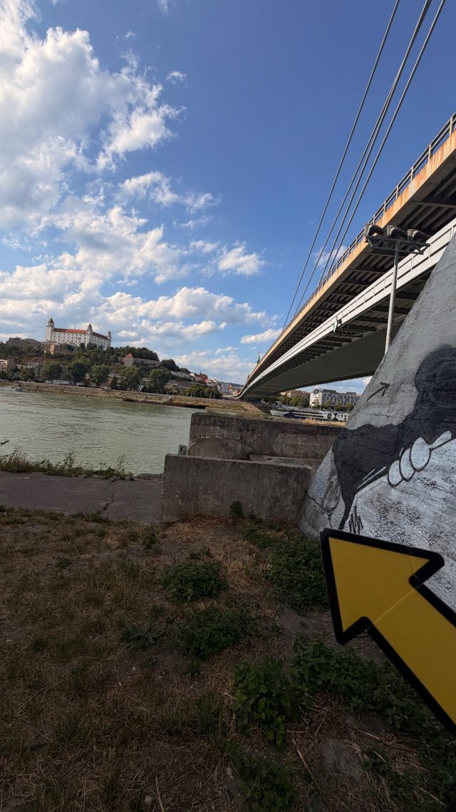Hand-painted penguin stone #1201 hidden at UFO Bridge, Bratislava, Slovakia (photo 5 of 5)
