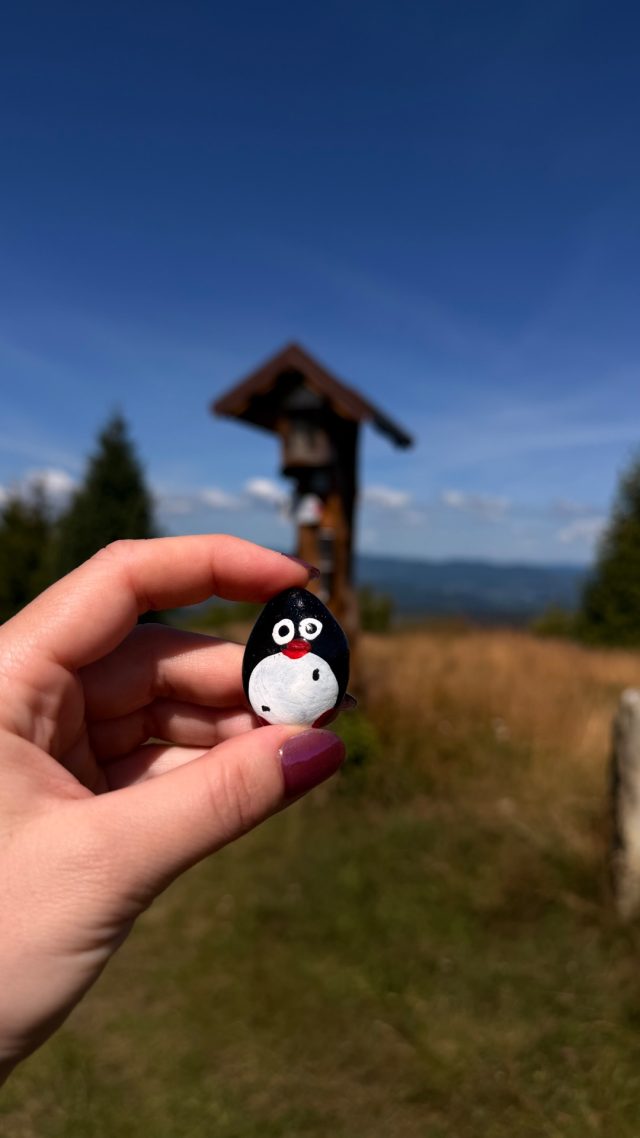 Hand-painted penguin stone #1219 hidden at Vrch Javorske, Oscadnica, Slovakia (photo 2 of 5)