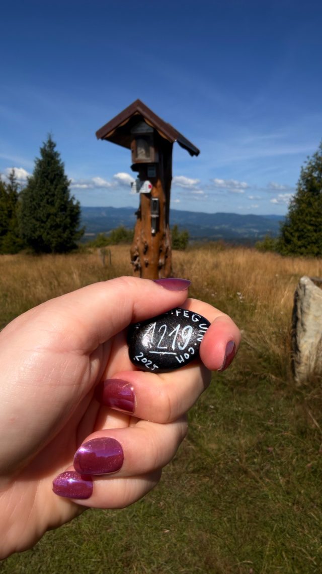 Hand-painted penguin stone #1219 hidden at Vrch Javorske, Oscadnica, Slovakia (photo 3 of 5)