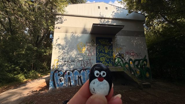 Hand-painted penguin stone #1233 hidden at House close to Lafranconi Bridge, Bratislava, Slovakia