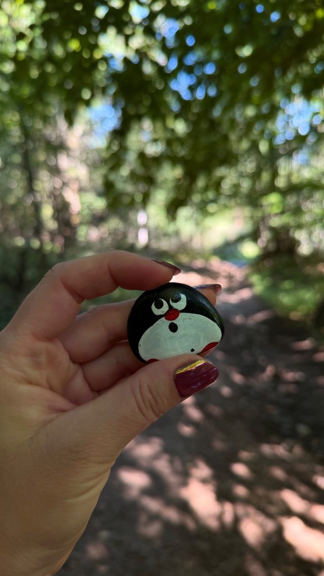 Hand-painted penguin stone #1244 hidden at Tree Trunk, Oscadnica, Slovakia (photo 2 of 5)