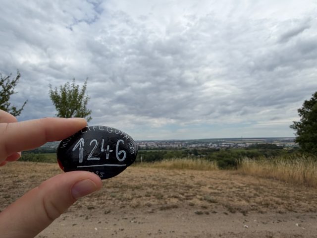 Hand-painted penguin stone #1246 hidden at Cross Grinavske jazera, Pezinok, Slovakia (photo 2 of 5)