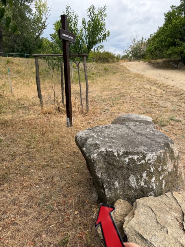 Hand-painted penguin stone #1246 hidden at Cross Grinavske jazera, Pezinok, Slovakia (photo 4 of 5)