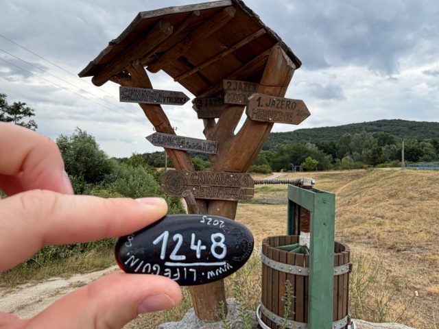 Hand-painted penguin stone #1248 hidden at Grinavska Cerpacka, Pezinok, Slovakia (photo 2 of 5)