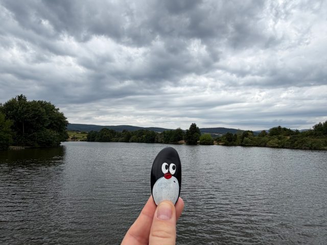 Hand-painted penguin stone #1248 hidden at Grinavska Cerpacka, Pezinok, Slovakia (photo 5 of 5)