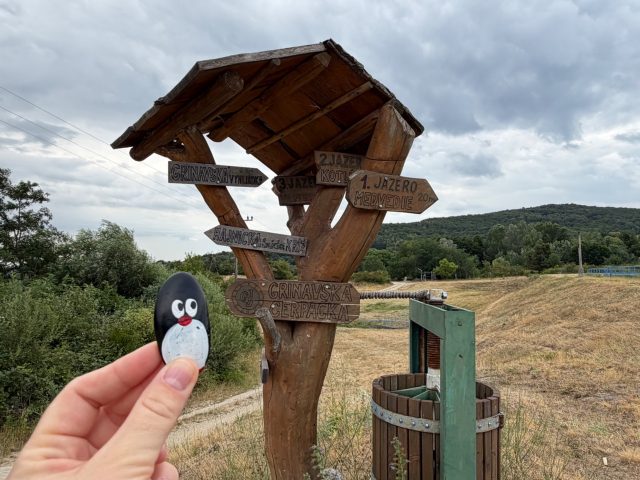 Ručne maľovaný tučniakový kameň č. 1248 ukrytý na mieste Grinavska Cerpacka, Pezinok, Slovensko