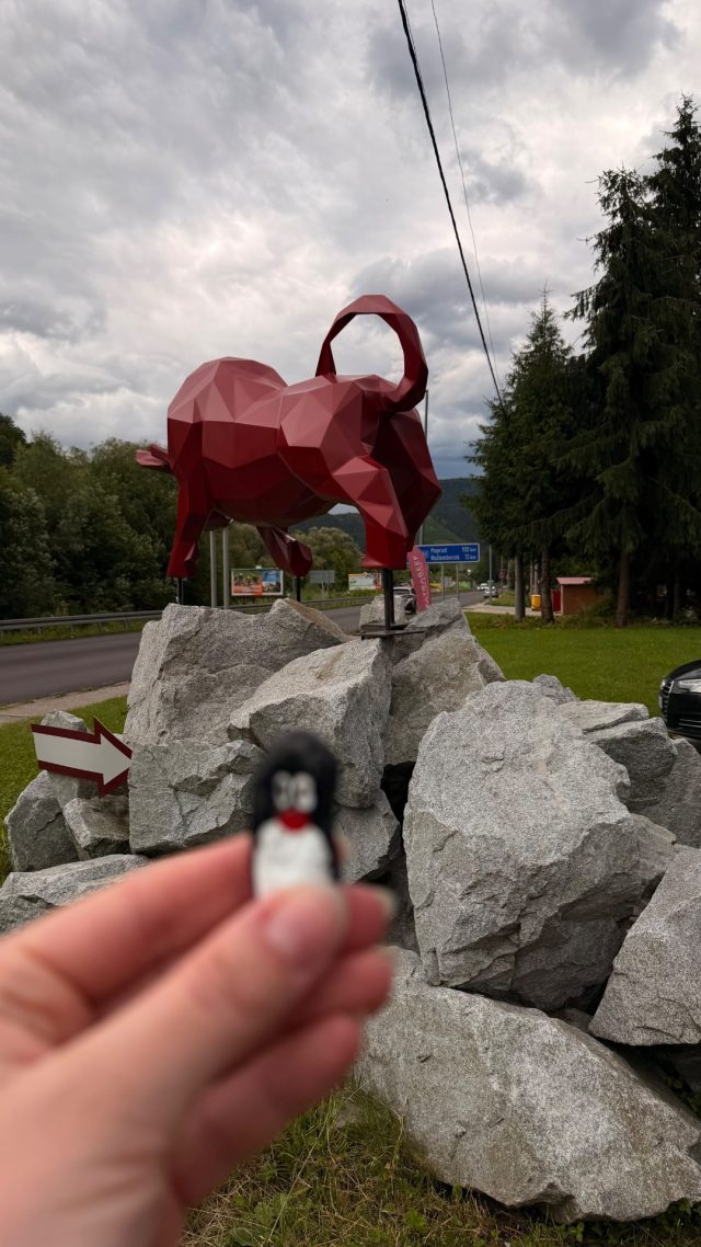Hand-painted penguin stone #1269 hidden at FatraBeef, Lubochna, Slovakia (photo 3 of 5)