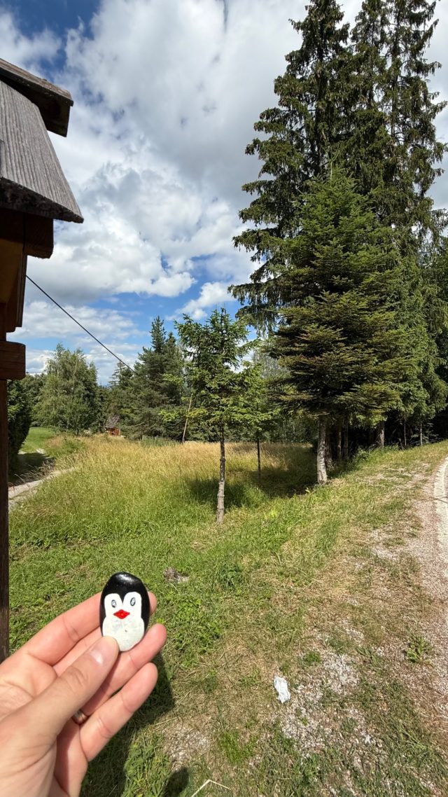 Hand-painted penguin stone #1271 hidden at Bindt intersection, Hnilcik, Slovakia (photo 2 of 4)