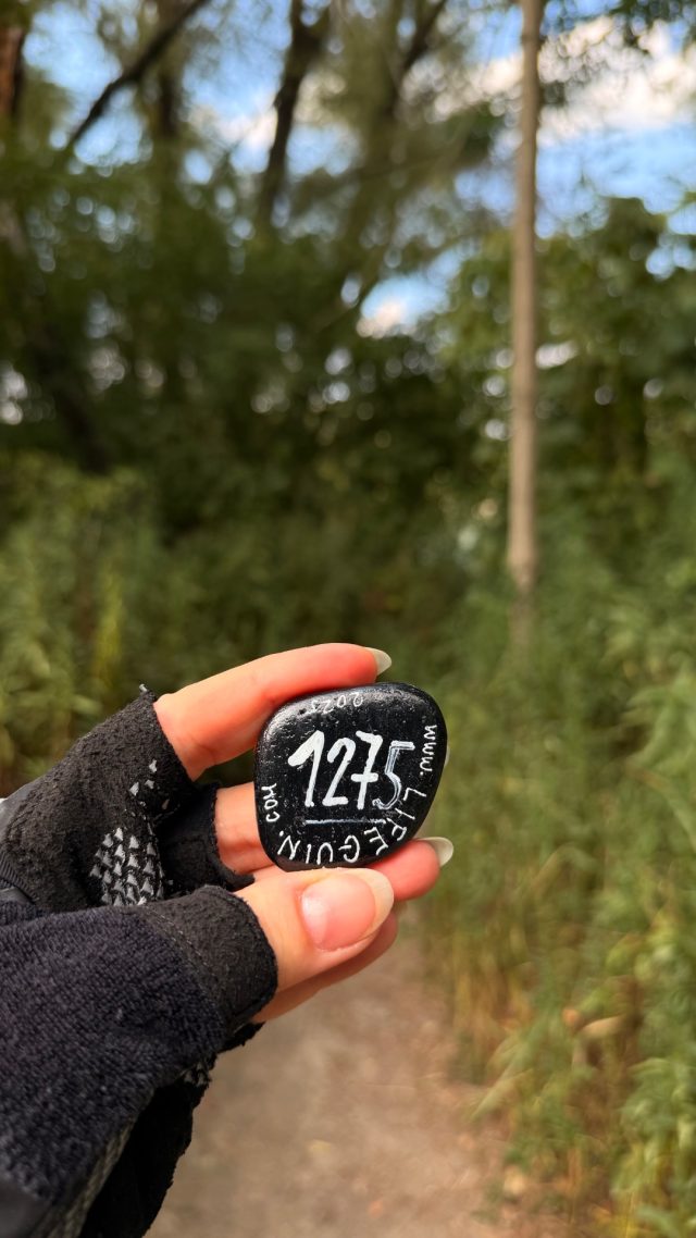Ručne maľovaný tučniakový kameň č. 1275 ukrytý na mieste Dunaj Beach Tree, Bratislava, Slovensko (fotka 2 z 5)