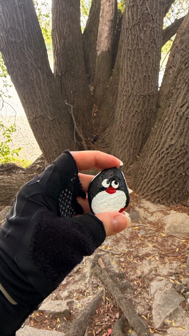 Ručne maľovaný tučniakový kameň č. 1275 ukrytý na mieste Dunaj Beach Tree, Bratislava, Slovensko (fotka 3 z 5)